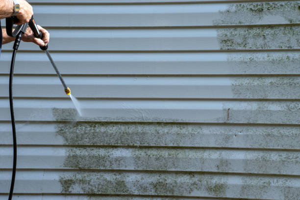 Best Storm Damage Siding Repair  in Daly City, CA