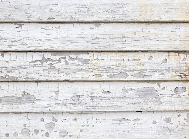 Best Fiber Cement Siding Installation  in Daly City, CA