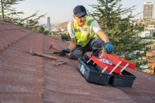Best Historical Building Siding Restoration  in Daly City, CA